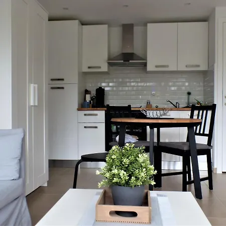 Appartement Les Terrasses De 333 Yellow Grey