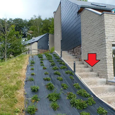 Les Terrasses De 333 Yellow Grey * マルメディ