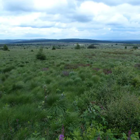 Les Terrasses De 333 Yellow Grey アパート