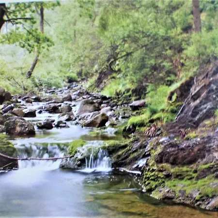 Les Terrasses De 333 Yellow Grey *