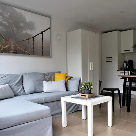 Apartament Les Terrasses De 333 Yellow Grey *